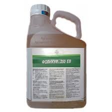 �������� ������� - ����������� 1