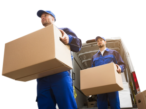 �������� ������� - ����������� 1