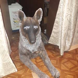 �������� ������� � ���� - ����������� 1