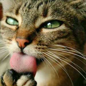 �������� ������� � ��������/�������� - ����������� 1