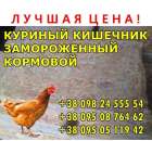 ������� � ����������: �������� �������, �o��o�o�, ���o�o������ � ��������.