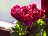 �������� ������� �� ���������� �����. �� ���� � - ����������