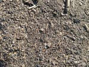 �������� ������� ��� � ������ ��������. - ����������� 1