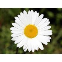 �������� ������� ��� � ������� - ����������� 1