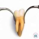 �������� ������� ��� ��� ���������㳳 �������� - ����������� 2