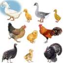 ������� � ����������: �������� ������� ��� �����