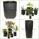 �������� ������� ��� ������� ������ ��� �������� ������� ��� ������� - ����������� 2