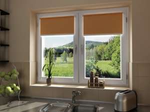 �������� ������� ���� - ����������� 1