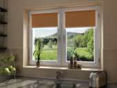 �������� ������� ����