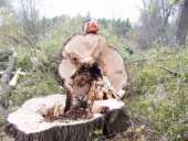 ������� � ����������: �������� ������� ����