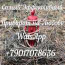 ��������, ������� ����, ����������, ����� ����� - ����������� 2