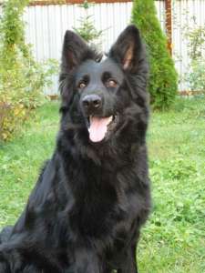 �������� ������� ����� - ����������� 1