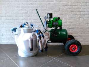 �������� ������� ����� ����� �� 16 �����, ���������, ������, ��������, - ����������� 1