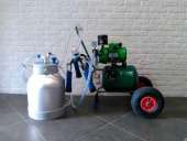 �������� ������� ����� ����� �� 16 �����, ���������, ������, ��������, - ����������� 2