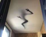 �������� �������, �����. ���������, ������, ���� ����. - ����������� 1