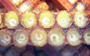 �������� ������� ������ � ��� - ����������� 1