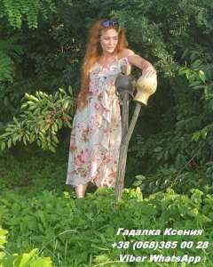 ��������. �������. ������. ����� �����. - ����������� 1