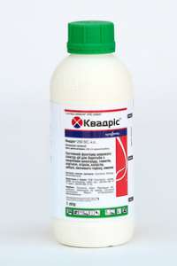 �������� ������� ������, �������� - ����������� 1