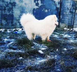 �������� ������� ������� FCI - ����������� 1