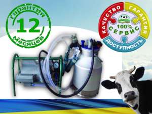 �������� ������� ������� ���4, ���������, ����������� �������� - ����������� 1