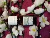 ������� � ����������: �������� ������� ������� ����� 10 ��