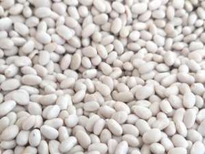 �������� ������� ������� ����� ����� - ����������� 1