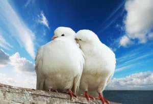 �������� ������� ������� ������������� � ������� ��������� ��� ��������� ��������� ������ � ����, ��� ���� �� ������ - ����������� 1