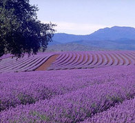 �������� ������� �������� 100 ����� - ����������� 1