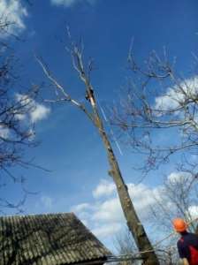 ��������, ������� �������� - ����������� 1