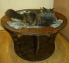 �������� ������� �������� ��� ����� 2 ���������� �����. - ����������� 2