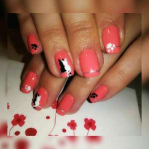 ��������, �������, ��������, ����������� - ����������� 1