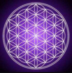 �������� ������� ��������� ���� - ����������� 1