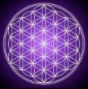 ������� � ����������: �������� ������� ��������� ����