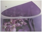 ������� � ����������: �������� �������! ����������! ������ �����!