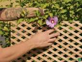 �����'��� ������� �����������: ����� (1,2 � 0,62 �) - ����������� 2