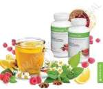 ������� � ����������: �������� ������� ������������