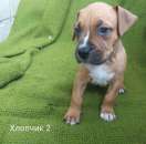 �������� ������� (����������������� �����) - ����������� 2