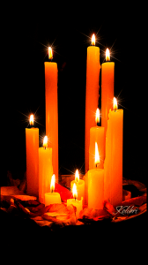 �������� �������� - ����������� 1