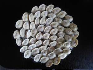 �������� �������� - ����������� 1