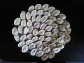 ������� � ����������: �������� ��������