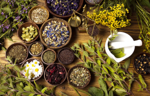 �������� �������� - ����������� 1