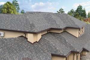 �������� �������� Shinglas - ����������� 1