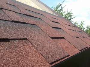 �������� �������� Shinglas - ����������� 1