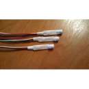 �������� �������� �� 12-� ��� ������� ��������������� - ����������� 2