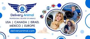 �������� �������� �� ����� ���� - ����������� 1