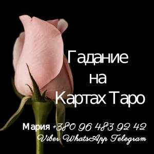 �������� �������� �� ������� �������� � �����. - ����������� 1