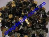 ������� � ����������: �������� �������� ��, ����������, ����� �����������!