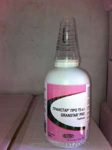 �������� �������� ���, ������� - ����������� 1