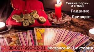 �������� �������� ��� �����������. ������� ����. ������ ������ � �����. - ����������� 1