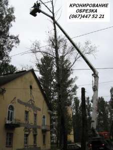 �������� �������� ���� 466 59 42 ���� �������� ����. ���������� ����. - ����������� 1